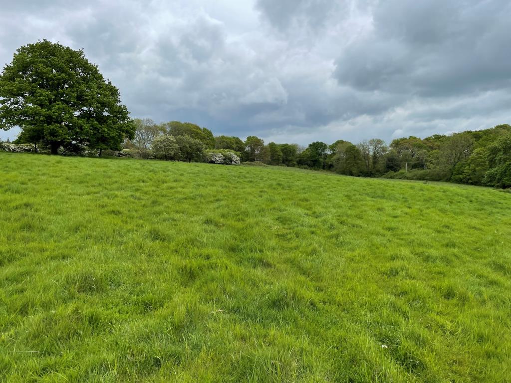 Lot: 35 - FREEHOLD SMALLHOLDING PLUS NINE ACRES OF LAND WITH POTENTIAL - View of grazing land to rear of building